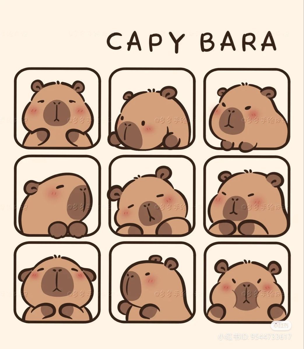 hình nền con capybara 0022