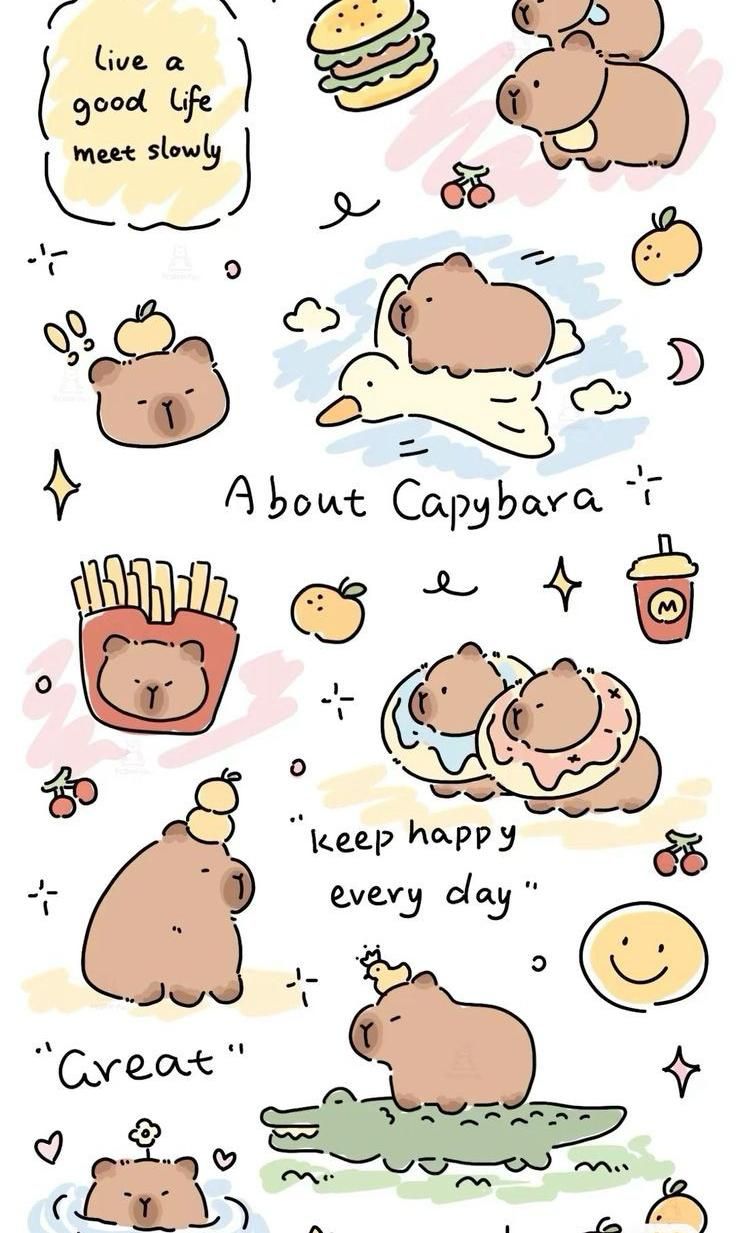 hình nền con capybara 0033