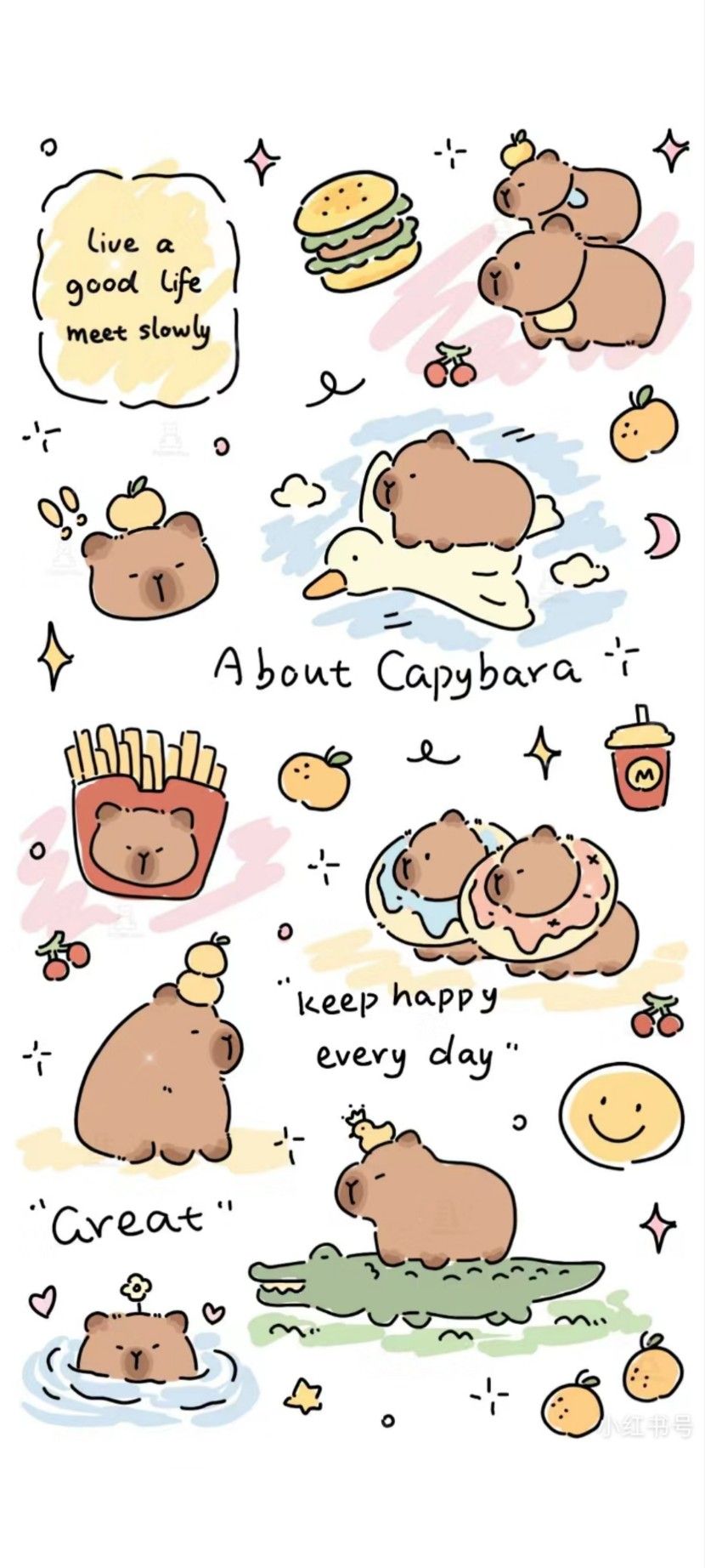 hình nền con capybara 0075